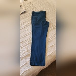 Express 36/30 pants teal color